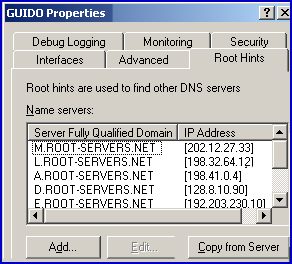 Root Hints for DNS Configuration Windows Server 2003 query